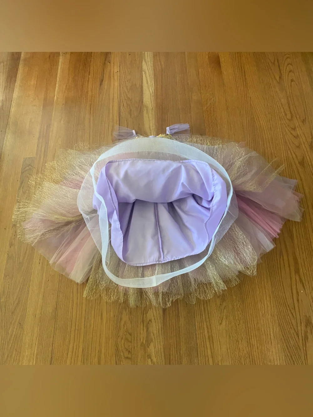 Pottery Barn Kids Pink and Gold Tulle Butterfly Costume